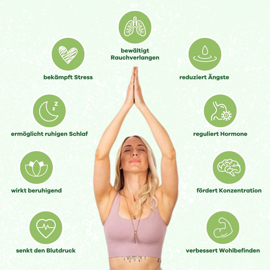 MAKYA - Dein Begleiter zur stressfreien Rauchentwöhnung - MAKYA